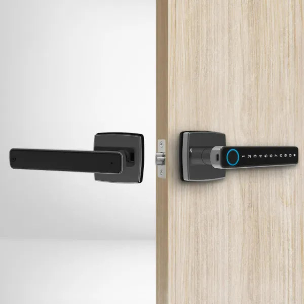 smart door lock